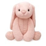 Bunny Soft Toy